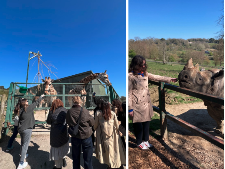 Screenshot 2025 04 24 at 4.50.51 PM